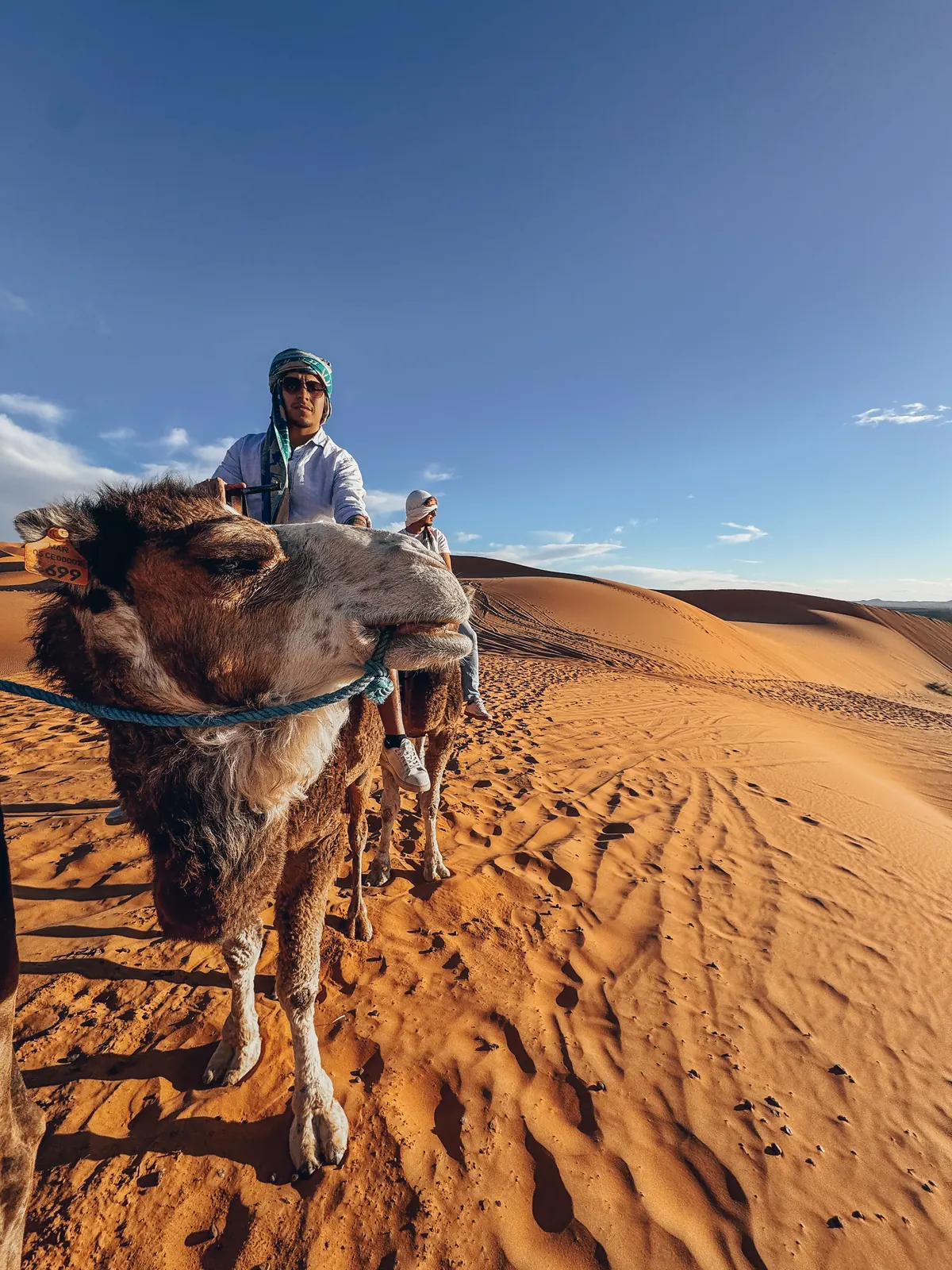 Ignacio Argandoña en camello en las dunas del Sahara